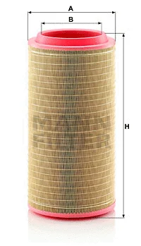 Air Filter (C 30 810/3)