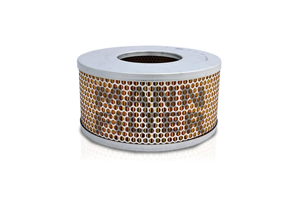 Air Filter (C 24 203)