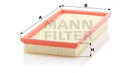 Air Filter (C 34 110)