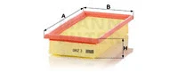 Air Filter (C 2981)