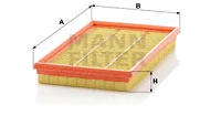 Air Filter (C 2974)