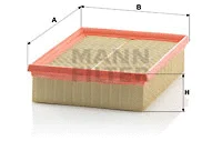 Air Filter (C 24 128)
