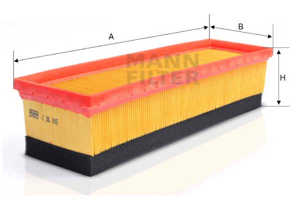 Air Filter (C 36 005)