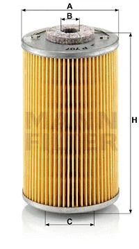 Fuel Filter (P 707)
