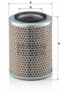 Air Filter (C 17 134)