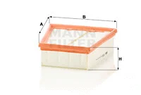 Air Filter (C 2538)