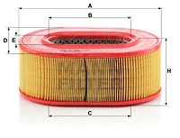 Air Filter (C 25 124)