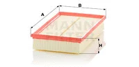 Air Filter (C 28 043)