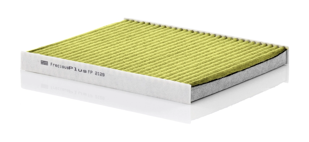 Filter, cabin air (FP 2129)