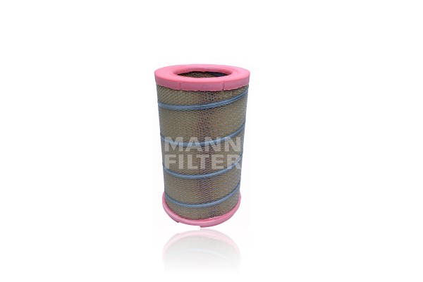 Air Filter (C 30 1622)