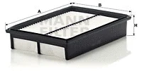 Air Filter (C 2841)