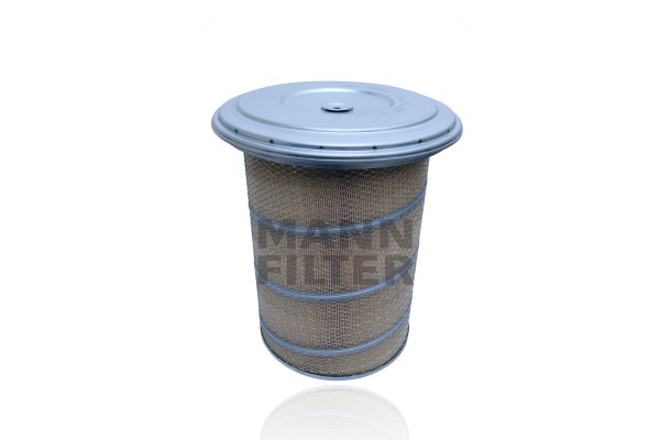 Air Filter (C 30 880/1)
