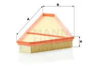 Air Filter (C 36 009)