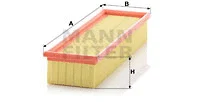 Air Filter (C 3377)