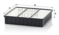 Air Filter (C 2335)