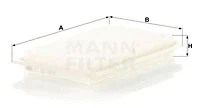 Air Filter (C 32 003)