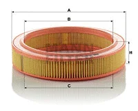 Air Filter (C 2534)