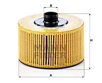 Oil Filter (HU 10 002 z)