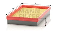 Air Filter (C 2573)