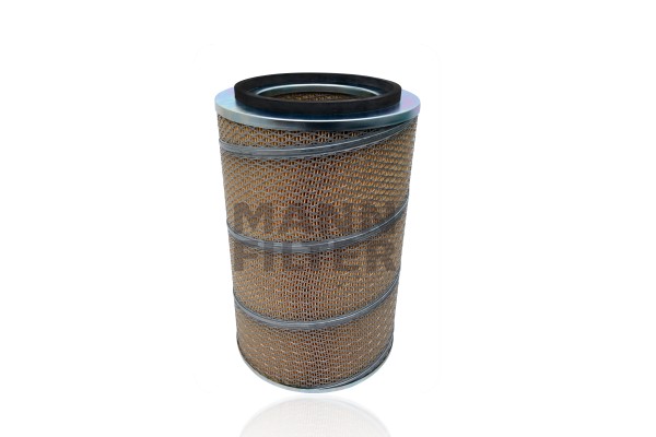 Air Filter (C 27 798)