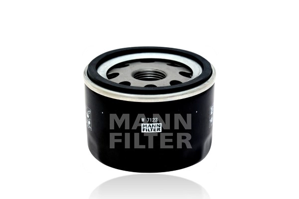 Oil Filter (W 7123)