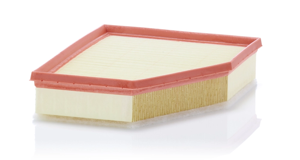 Air Filter (C 28 038)