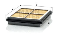 Air Filter (C 2138/3)