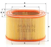 Air Filter (C 24 135)