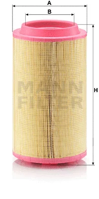 Air Filter (C 24 745/3)