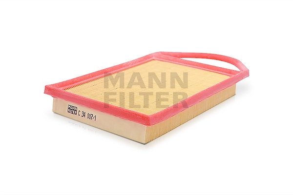 Air Filter (C 34 007/1)