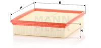 Air Filter (C 29 029)
