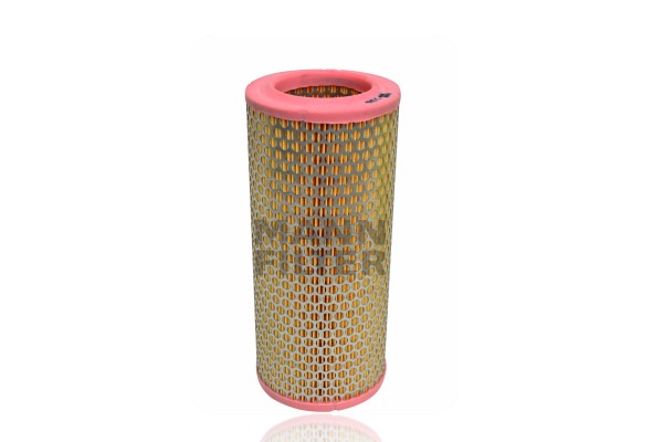 Air Filter (C 13 100)