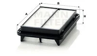 Air Filter (C 2432)
