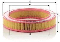 Air Filter (C 2863)