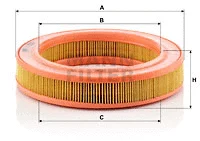 Air Filter (C 2536)