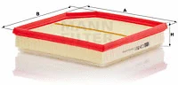 Air Filter (C 24 051/1)