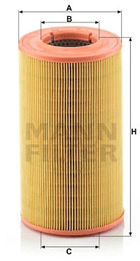 Air Filter (C 14 176)