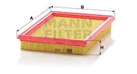 Air Filter (C 2329)