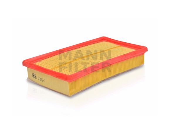 Air Filter (C 2982/1)