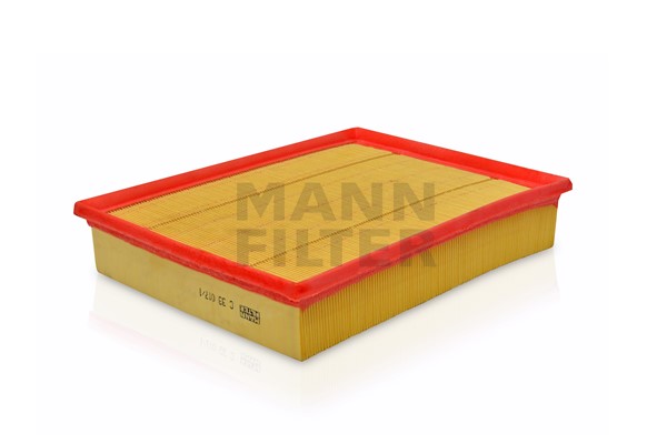 Air Filter (C 33 017/1)