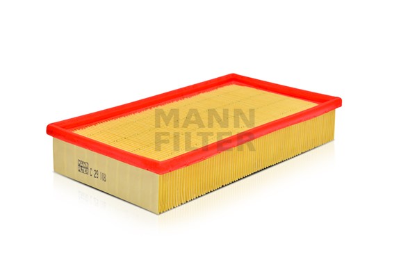 Air Filter (C 29 108)