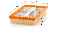 Air Filter (C 33 125)