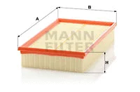 Air Filter (C 34 175)