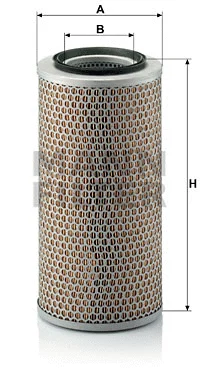 Air Filter (C 17 250)