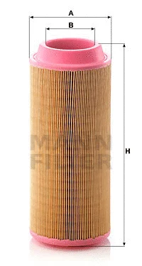 Air Filter (C 15 300)