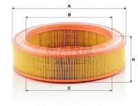 Air Filter (C 2555/2)