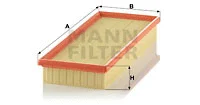Air Filter (C 39 160/1)