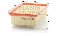 Air Filter (C 25 117/2)