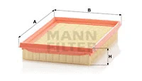 Air Filter (C 2345/1)