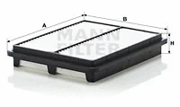 Air Filter (C 2537/1)